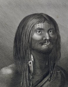 رجل بولينيزي من نوتكا ساوند ، رسم توضيحي لجون ويبر (1752-1793) خلال الرحلة الثالثة (1776-1779) لجيمس كوك (1728-1779) ،