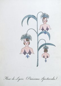 فلور دي ليسيا (Parisiana Spectacula.) ، رسم توضيحي من "The Bogus Book of Botany" بقلم جون وير بواسطة جون وير