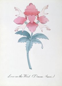 رسم توضيحي لـ Love-on-the-Wrist (Donum Amoris.) من "The Bogus Book of Botany" لجون وير بواسطة جون وير