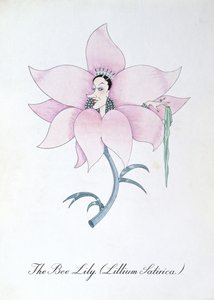 The Bee Lily (Lilium Satirical.) ، رسم توضيحي من "The Bee Book of Botany" بقلم جون وير بواسطة جون وير