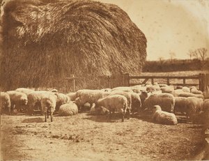  بواسطة جون ويسلر