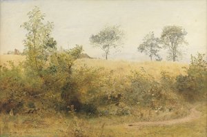 يبدأ الخفاش بجناح Giddy - حقل الشعير فوق التحوط ، 1885 (مرحاض وقلم رصاص مع خدش على الورق) بواسطة جون ويليام نورث
