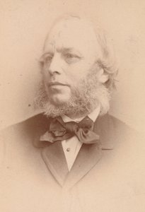 الأسهم القطنية ، 1860. بواسطة جون وتشارلز واتكينز