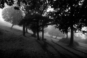 ضيعة جودوود في غرب ساسكس، المملكة المتحدة، 2019 (الصورة)