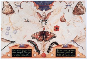 Diptych بالورود والحشرات ، 1591. بواسطة جوريس هوفناجل