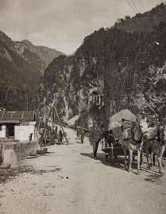ألبوم "بلدي الحرب العالمية - ذكريات الجبهة الجنوبية الغربية (كارينثيا ، إيطاليا ، جنوب تيرول) (حربي العالمية - ذكريات الجبهة الجنوبية الغربية في كارينثيا ، إيطاليا ، ترينتينو ألتو أديجي) 31/03 / 1915-12 / 11/1918 - جوزيف زوهليس فيينا ": عربة عسكرية (صورة ب