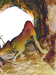 في داخل الكهف