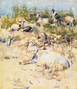ماعز على أحد التلال، طنجة (ألوان مائية مع لمسات من الغواش على الورق) بواسطة جوزيف كوراهول