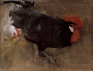 الديك الأسود (الغواش على الكتان)