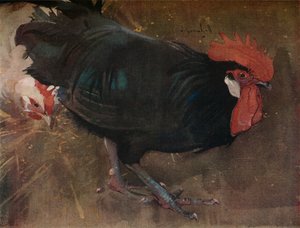The Black Cock، c1894