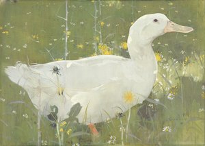 The White Drake (جواش على قماش)