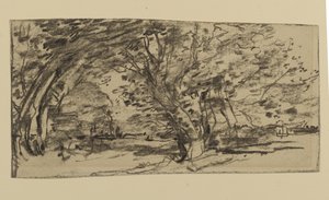 دراسة الأشجار ، 1870 (الجرافيت على الورق)