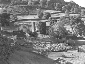  بواسطة جوزيف هاردمان