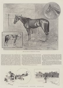 Kingsclere Racing اسطبلات