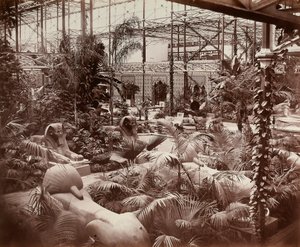 قصر الكريستال في لندن: القسم الاستوائي حوالي 1870 (صورة بالأبيض والأسود)