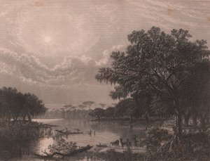 لويزيانا بايو ، الولايات المتحدة ، نقش على الصلب لروبرت هينشلوود (1812-بعد 1875) بعد الرسم بواسطة جوزيف روسلينج ميكر (1827-1889) ، حوالي 16 × 18 سم