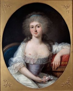 صورة لماري تيريز لويز دي سافوا كارينيان ، برينسيس دي لامبال (1749-1792) لوحة جوزيف سيفريد دوبليسيس (1725-1802) (جوزيف سيفريد ، جوزيف سيفريد ، جوزيف سيفريد ، جوزيف سيفرين ، جوزيف سيفرين) متحف ميتز القرن الثامن عشر des Beaux Ar