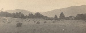 المناظر الطبيعية مع الأشجار والجبال ، ج. 1900.