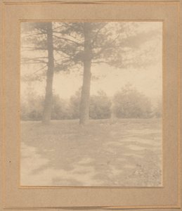 المناظر الطبيعية مع الأشجار ، ج. 1900.