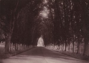 الممر، قصر شاتو دي غراند فو، سافينيي سور أورج، منزل عائلة فيجييه، حوالي عام 1855 (الصورة)
