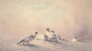 بتارميجان ، شتاء ، 1873 (مرحاض) بواسطة جوزيف وولف