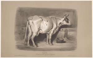 بقرة في الاسطبل Vache (العنوان على الكائن) دراسات على الحيوانات في نوعين من الطباشير (عنوان السلسلة) Étude aux deux crayons par Z. Gengembre (عنوان السلسلة على الكائن) بواسطة فرانسوا ديلارو