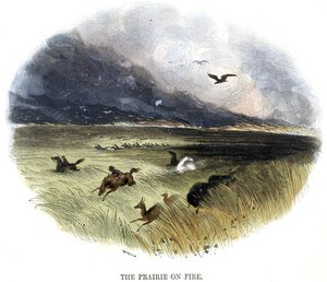 مرج على النار ، من ظاهرة الطبيعة ، 1849