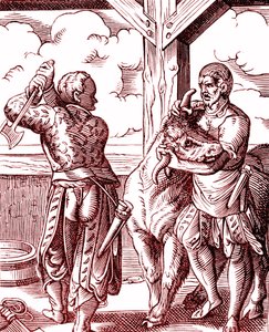 جزار - الطعام والطبخ في العصور الوسطى. نقش لجوست أمان (1539-1591). نقش 1878 بواسطة جوست (بعد) عمان