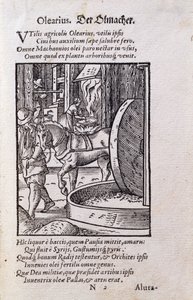 صانع الزيت ، رسم توضيحي من الطبعة اللاتينية من "De Omnibus Illiberalibus Sive Mechanics Artibus" مع أبيات من حانة هانز ساكس (1494-1576). 1574 (نقش خشبي) بواسطة جوست عمان