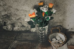  بواسطة الفرح الليونز