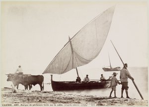 Ossen Trekken vissersboot het strand op في فالنسيا فالنس. - قارب صيد مرسوم على الرمال. (من الطبيعة) (العنوان على الكائن)