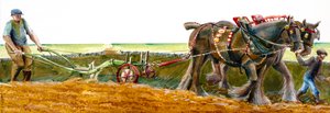 الحرث ، c1830-1900 ، c1990-2010 بواسطة جوديث دوبي
