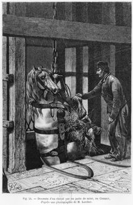 حصان يتم رفعه في حفرة الفحم في Le Creusot ، التوضيح من "La Vie souterraine" بواسطة لويس سيمونين (1830-86) 1867