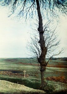 قبر مع العديد من القتلى على جانب الطريق خلال معركة المارن شرق باريس ، سبتمبر 1914 (autochrome) بواسطة جول جيرفيه كورتيلمونت