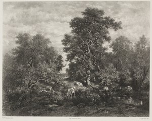البركة ، بعد تيودور روسو (1812-1867)