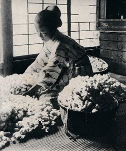 5000 دودة قز تأكل 125 رطل من التوت لـ 8 شلات من الحرير ، تصنع كيمونو واحد ، c1900 ، 1921 بواسطة شارع جوليان ليونارد