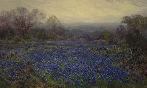 بدون عنوان - حقل Bluebonnets (زيت على قماش)