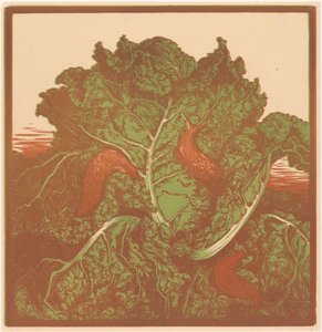 ثلاث بزاقات على ملفوف بواسطة جولي دي جراج