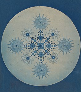 [فروستوليس من الدياتومات] ، كاليفورنيا. 1870. بواسطة يوليوس فيزنر.
