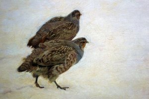 الحجل بواسطة Józef Chemoński