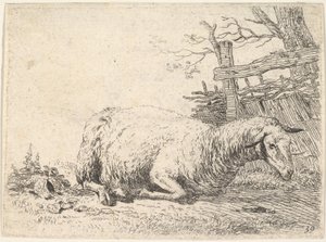 خروف مستلقي مع ساقيه مطوية تحت جسمه بجوار سياج خشبي ، وهي ... ، كاليفورنيا. 1655. بواسطة كاريل دو جاردين