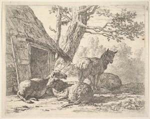 أربعة خروف ، خروف واحد من بين ثلاثة خروف ملقى على الأرض بجانب سقيفة مع ... ، 1658. بواسطة كاريل دو جاردين