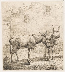 حماران الحيوانات (عنوان السلسلة) بواسطة كاريل دو جاردين