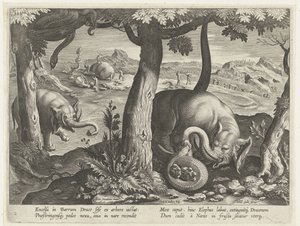 التقى Olifant عامية في القتال Jachttaferelen (عنوان المسلسل) صيد الحيوانات البرية والطيور والأسماك في بيستاري (عنوان السلسلة) بواسطة جان فان دير سترايت