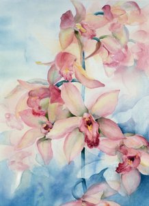 الأوركيد Cymbidium Ramley بواسطة كارين أرميتاج