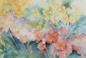 Polyanthus ، الهجينة المختلطة بواسطة كارين أرميتاج