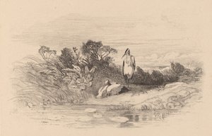 مالك الحزين. بواسطة كارل بودمر