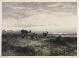 المناظر الطبيعية مع الغزلان ، ج. 1840. بواسطة كارل بودمر