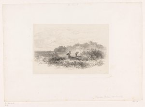منظر طبيعي مع اثنين من الغزلان ذات الذيل الأبيض المناظر الطبيعية مع الحيوانات (عنوان السلسلة) بواسطة كارل بودمر