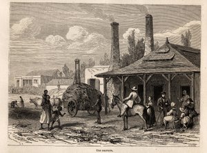 مصنع سكر من Riviere du Rempart ، في موريشيوس ، رسمه كارل جيرارديت (1813-1871) ، لتوضيح إقامة ألفريد فيرني في موريشيوس عام 1861. نقش في "Le tour du monde" ، تحرير إدوارد شارتون بواسطة كارل جيرارديت